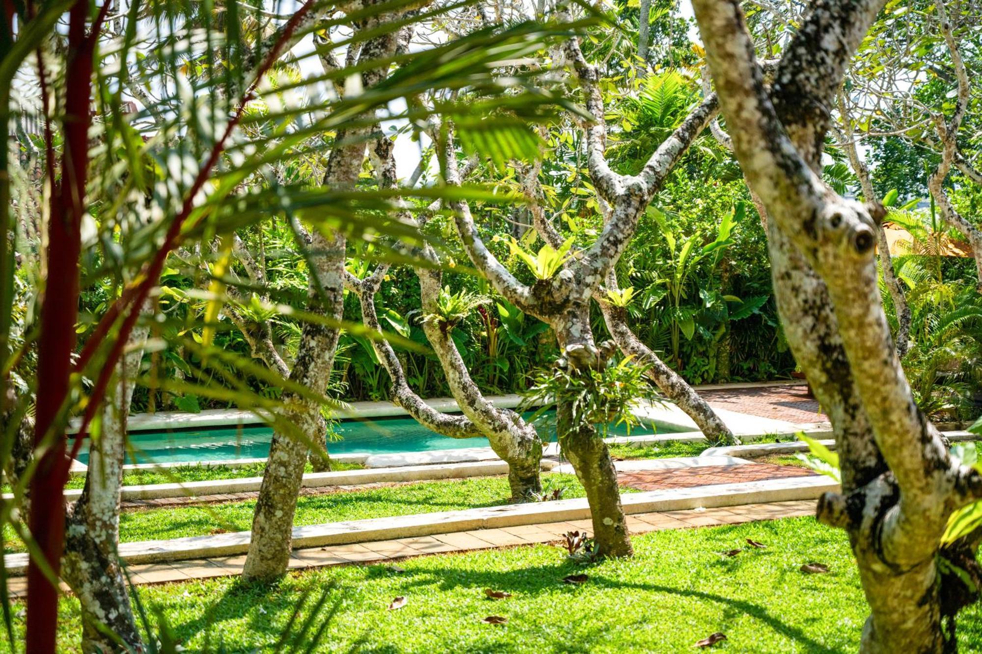 The Sun House Hotell Galle Exteriör bild